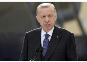 هوية أردوغان الشخصيه تتسبب بحبس صحفي تركي