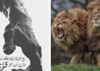 أنا جاي مخصوصاً اقولك