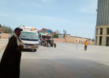 بالصور .. 1023 طن و650 كجم من الاقماح المحلية تم توريدها لصوامع كفر الشيخ حتي صباح الأربعاء