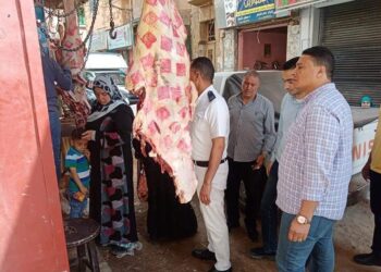 حملات مكثفة بالمنوفية للرقابة على محلات الجزارة بالشهداء