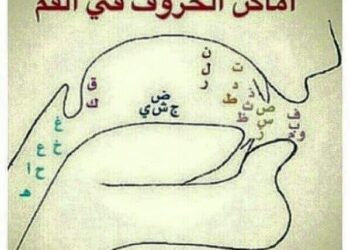 كيف تخرج الحروف من الفم وأماكن خروجها داخل جسم الانسان