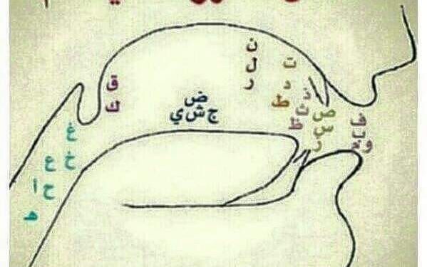 كيف تخرج الحروف من الفم وأماكن خروجها داخل جسم الانسان