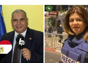 الاتحاد العام للمصريين بالخارج