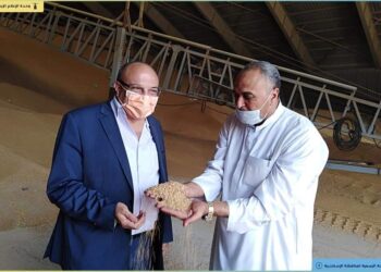 محافظ الإسكندرية يشيد بجهود الدولة لتوفير مخزون استراتيجي آمن