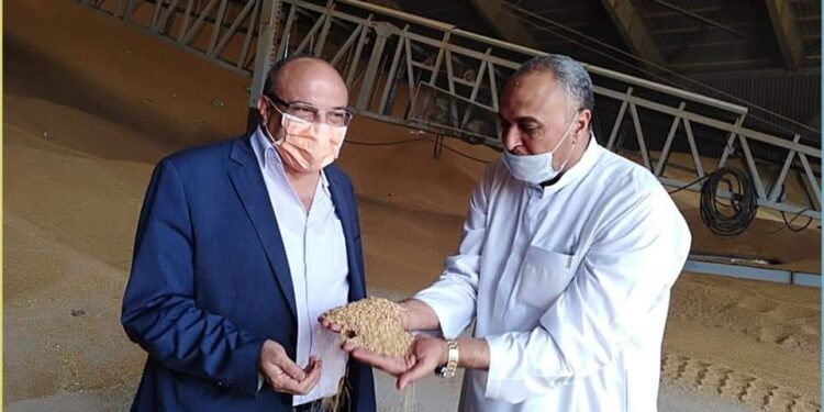 محافظ الإسكندرية يشيد بجهود الدولة لتوفير مخزون استراتيجي آمن