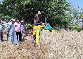 وكيل وزارة الزراعة بدمياط يتابع حصاد الذهب الأصفر