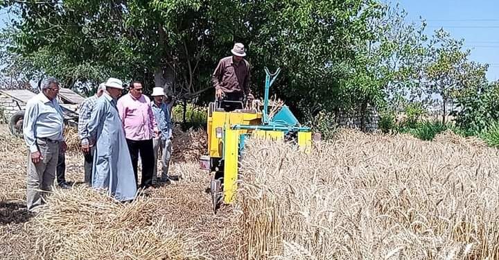 وكيل وزارة الزراعة بدمياط يتابع حصاد الذهب الأصفر