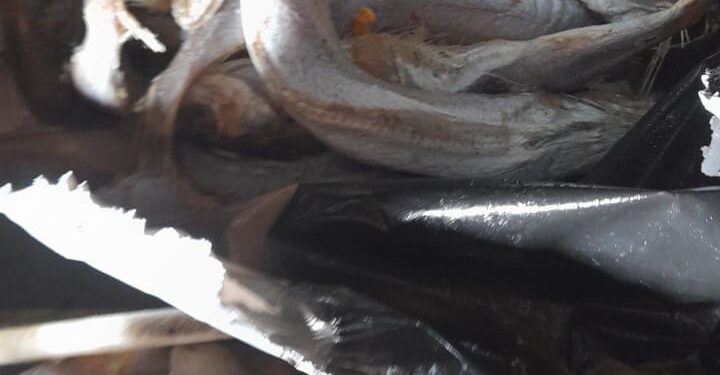 ضبط 456.5 كجم اغذية غير صالحه للاستخدام الادمي بمركز كفر الزيات وقطور