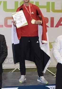 يوسف البهائي