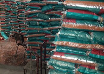 تموين اسكندرية