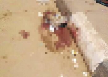 أمام جامعة المنصورة