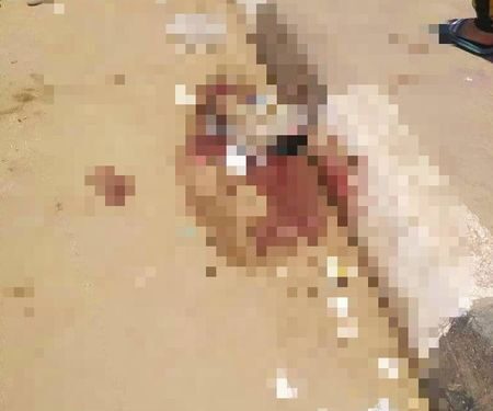 أمام جامعة المنصورة