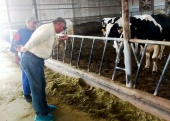 الطب البيطرى بجامعة بدر تسهم فى التقييم الصحى لمزارع دولة الكويت