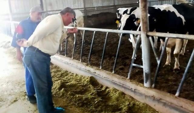 الطب البيطرى بجامعة بدر تسهم فى التقييم الصحى لمزارع دولة الكويت