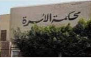 سيدة سبعينيه تحضر إلي المحكمة برفقه حفيدها وابنته لخلع زوجها الثمانيني