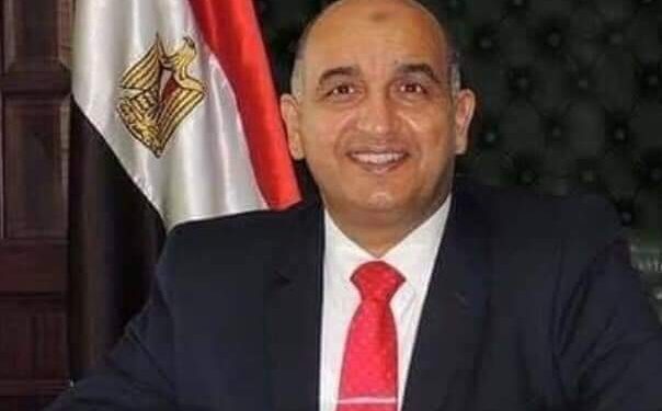 إختيار الدكتور السيد الصيفى عضواً بلجنة الرقابة على الصكوك السيادية