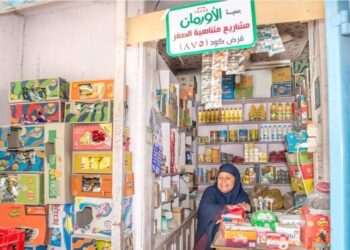 الأورمان ترفع شعار نعم للمشروعات الحرفية بكفرالشيخ