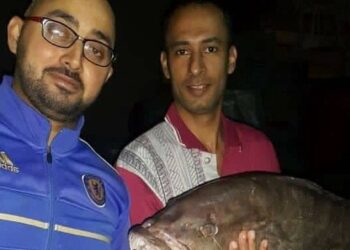 أسعار السمك تشوي جيوب الدمايطه ومبادرة كلنا واحد طاقة امل