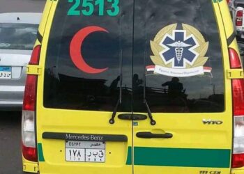 مذبحة مرعبة بقنا :شاب يقتل خمسة أفراد من أسرته