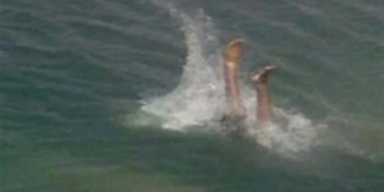 تركوا طفلتهم تسبخ بالترعة أمام المنزل فغرقت