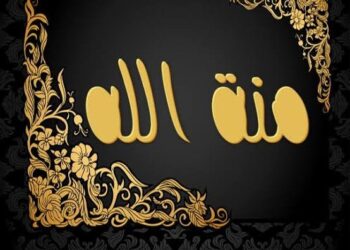 جريده حكاية وطن ترسل باقه من الورود للطالبه (منة الله) بمناسبة نجاحها