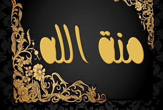 جريده حكاية وطن ترسل باقه من الورود للطالبه (منة الله) بمناسبة نجاحها