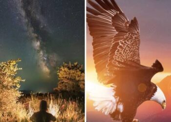 ليلاً أضأنا شمعة