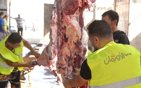 الاستعداد لذبح الأضاحى