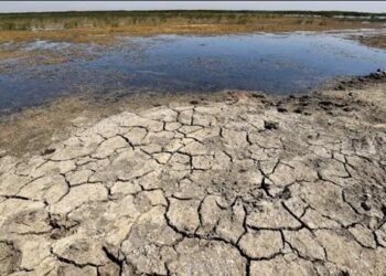 بريطانيا .. حديقة هايد بارك الملكية تتحول لصحراء جرداء