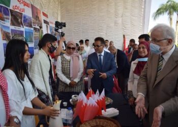 الجامعة المصرية الروسية