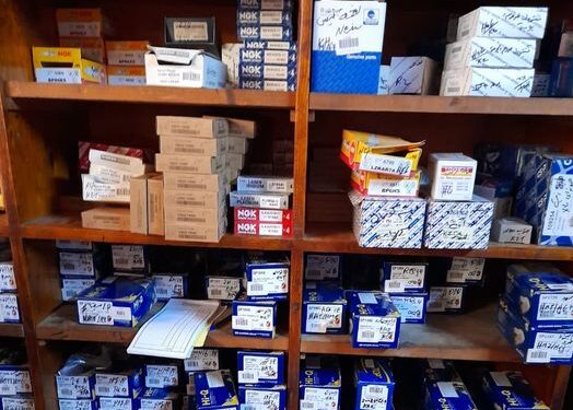 تموين اسكندرية