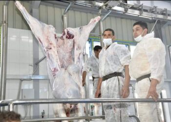 غلق مجزر طنطا