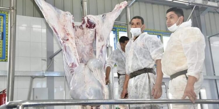 غلق مجزر طنطا