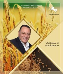 محافظ الشرقية يتابع إنتظام
