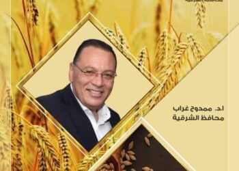 محافظ الشرقية يتابع إنتظام توريد القمح لصوامع وشون الشرقية