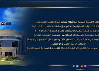 حركة تنقلات الشرطة