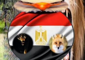 أنا ابن مصر