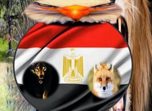 أنا ابن مصر