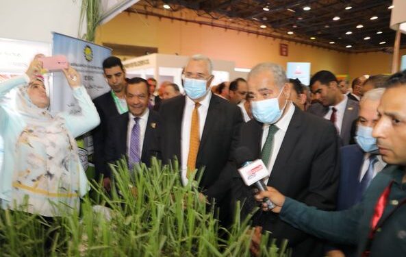 اطلاق مشروعات عملاقة