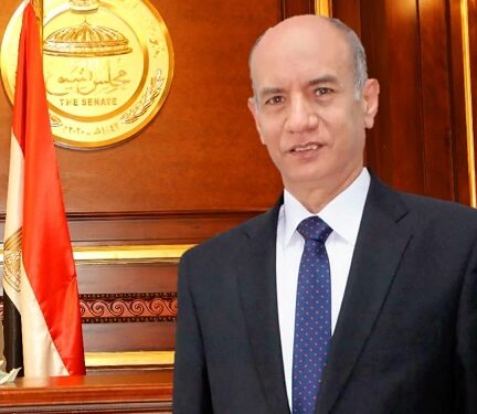 النائب مجدى القاضي