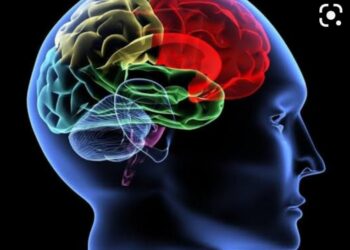 الابحار فى النفس البشرية