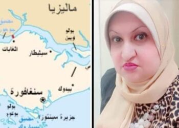 بين التجربة الدنماركية و السنغافورية