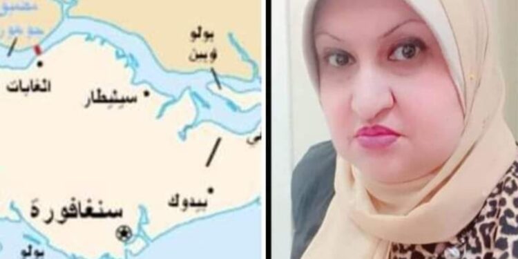 بين التجربة الدنماركية و السنغافورية