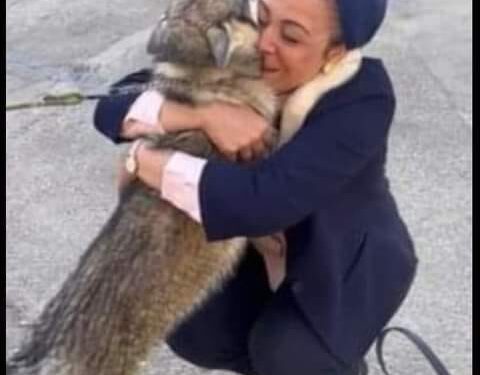 انا مش ملزمة