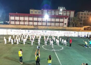 حزب مستقبل وطن