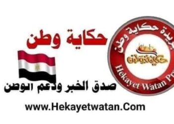 شركة oppo الصينيه تستثمر في مصر