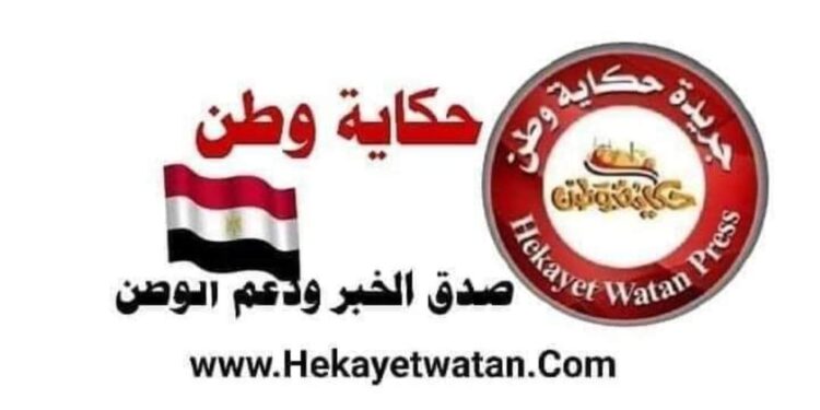 شركة oppo الصينيه تستثمر في مصر