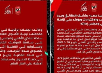 صندوق تحيا مصر