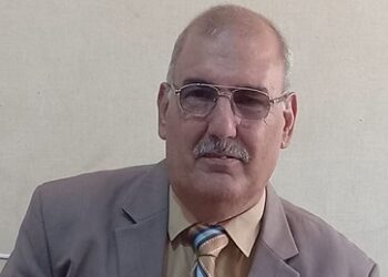 أوجه الشبه بين