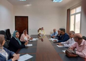 اجتماع اللجنة التنسيقية للسكان وتنظيم الاسرة بمحافظة الاسكندرية